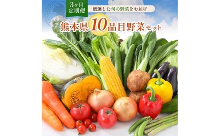 [ 3か月 連続 定期便 ] 熊本県 10品目 野菜 セット 3ヶ月 定期便 フレッシュ 新鮮 野菜 青果 サラダ おまかせ お任せ 厳選 お楽しみ ランダム 冷蔵