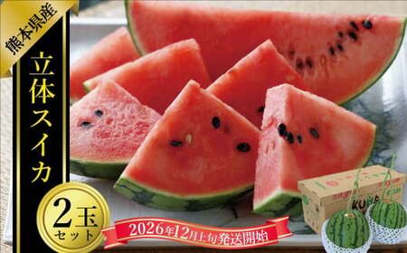 立体スイカ(2玉入り) [2026年12月上旬発送開始] スイカ すいか 立体すいか 果物 くだもの フルーツ 果汁 果実 2玉 贈り物 熊本県 熊本県産