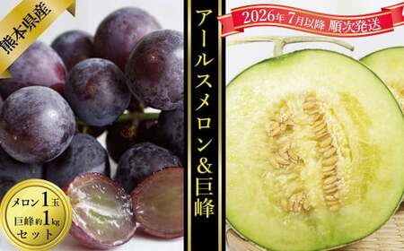 �A�[���X������1�ʁ�������1kg�Z�b�g�y2026�N7����{�����J�n�z �A�[���X������ 1�� ���� ��1kg 1kg �Z�b�g ������ �u�h�E �Ԃǂ� ���� �t���[�c �F�{���Y ���Y �������� �ʕ� �ʎ� �ʓ�