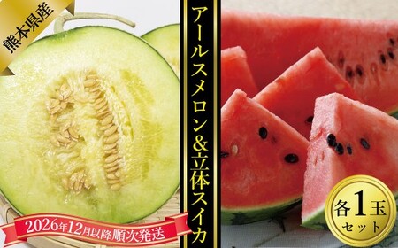 熊本県産アールスメロン1玉と立体スイカ1玉【2026年12月上旬発送開始】 熊本県産 アールスメロン 1玉  立体スイカ 1玉 国産 メロン スイカ フルーツ くだもの 果物 果実 果肉