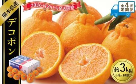 [年4回定期便] デコポン約3kg (8〜12玉入り)×4回 (計約12kg) [2026年12月上旬発送開始] でこぽん 果物 くだもの フルーツ 果実 果汁 定期便 年4回 贈り物 熊本県 熊本県産