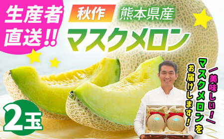 [生産者直送]☆秋作☆ マスクメロン 2玉 合計約3kg以上 [2026年10月上旬発送開始] フルーツ くだもの 果物 メロン めろん 熊本県産