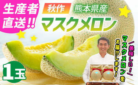 [生産者直送]☆秋作☆ マスクメロン 1玉 合計約1.5kg以上 [2026年10月下旬発送開始] フルーツ くだもの 果物 メロン めろん 熊本県産