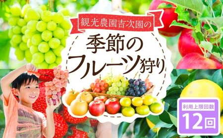 観光農園吉次園の「旬を味わうフルーツ狩りパスポート」（計12回） 果物狩り フルーツ 狩り 食べ比べ 食べ放題 季節 旬 家族 体験チケット チケット 体験 熊本県