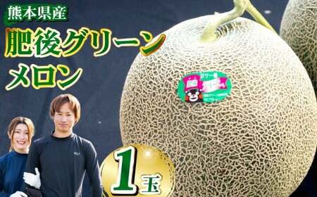 肥後グリーンメロン 1玉[2026年5月下旬発送開始] メロン フルーツ くだもの 果物 熊本県産 国産