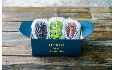 大粒種なしぶどう3色セット 3種 合計 約1.4kg (3房) ブドウ 葡萄 果物 くだもの フルーツ [2026年9月上旬発送開始]