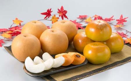 熊本県産 秋の梨・太秋柿セット 各3〜4玉 合計6〜8玉 [2026年10月上旬発送開始] 果物 フルーツ 梨 なし 柿 かき 旬 旬のフルーツ