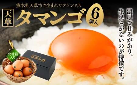 熊本県天草市で生まれたブランド卵「天草タマンゴ」6個入 化粧箱入 卵 たまご タマゴ 生卵 生たまご 卵黄 卵 熊本県 天草市