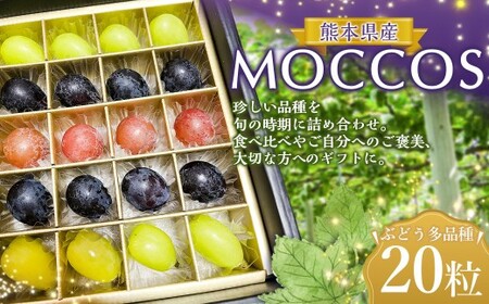 MOCCOS (ぶどう多品種20粒入り) [2026年8月上旬上旬発送開始] ぶどう フルーツ 果実 粒 食べ比べ デザート 贈り物 冷蔵 熊本県