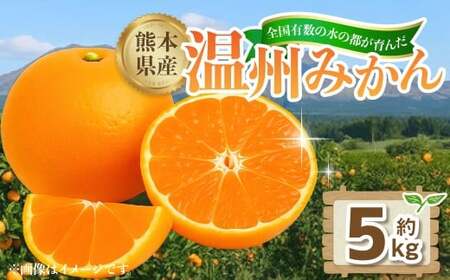 熊本県産温州みかん 5kg(30-35玉)[2026年11月下旬発送開始] 熊本県産 国産 温州 みかん ミカン おやつ 果物 果実 フルーツ 5kg 30 35玉