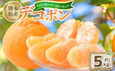 熊本県産デコポン 5kg(20-25玉)[2026年2月下旬発送開始] 熊本県産 国産 デコポン おやつ 果物 果実 フルーツ 5kg 20 25玉
