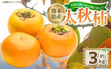 熊本県産太秋柿 約3kg(12玉)[2026年10月下旬発送開始] 熊本県産 国産 太秋柿 柿 かき カキ おやつ 果物 果実 フルーツ 3kg 12玉