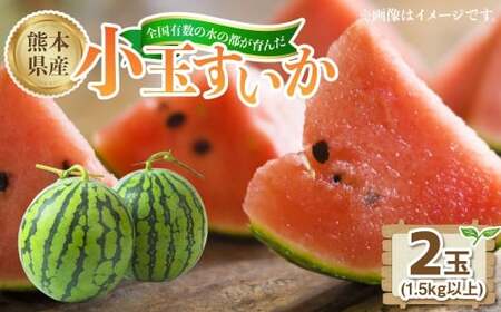 熊本県産小玉すいか 2玉(1.5kg以上)[2026年4月下旬発送開始] 熊本県産 国産 小玉すいか 小玉 すいか スイカ おやつ 果物 果実 フルーツ 1.5kg 2玉