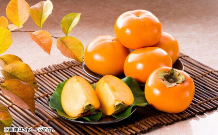 熊本県産 太秋柿 2kg [2026年10月下旬発送開始] フルーツ くだもの 果物 かき 柿