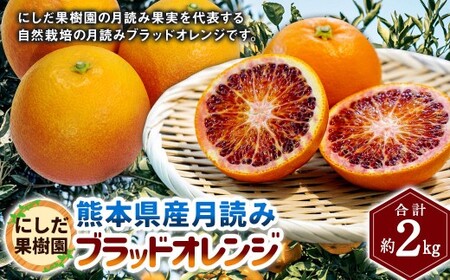 にしだ果樹園の熊本県産月読み ブラッドオレンジ 約2kg オレンジ 柑橘 みかん 蜜柑 フルーツ 果物 くだもの [2026年3月上旬発送開始]