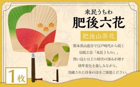 来民うちわ 肥後六花 「 肥後山茶花 」 うちわ 伝統工芸 縁起物 防虫効果 伝統技法 雑貨 生活雑貨