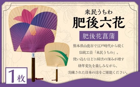 来民うちわ 肥後六花 「 肥後花菖蒲 」 うちわ 伝統工芸 縁起物 防虫効果 伝統技法 雑貨 生活雑貨