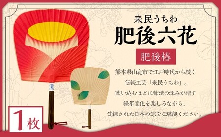 来民うちわ 肥後六花 「 肥後椿 」 うちわ 伝統工芸 縁起物 防虫効果 伝統技法 雑貨 生活雑貨