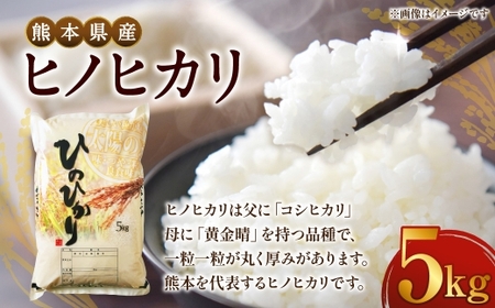 [ 令和7年度産 ] 熊本県産ヒノヒカリ 5kg 国産 熊本県産 お米 米 コメ ご飯 白米 ヒノヒカリ [ 2025年12月上旬発送開始 ]