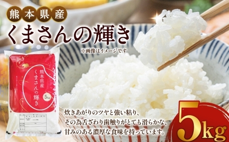 [ 令和7年度産 ] 熊本県産くまさんの輝き 5kg 国産 熊本県産 お米 米 コメ ご飯 白米 くまさんの輝き [ 2025年12月上旬発送開始 ]