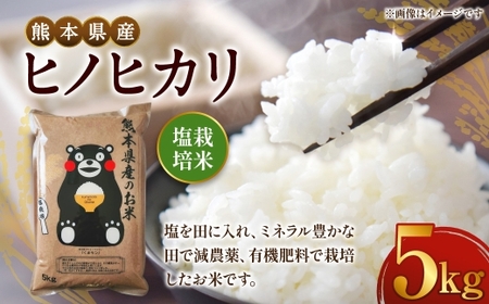 [ 令和7年度産 ] 熊本県産塩栽培米ヒノヒカリ 5kg 国産 熊本県産 お米 米 コメ ご飯 白米 ヒノヒカリ 塩栽培米 塩栽培 [ 2025年12月上旬発送開始 ]