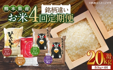 [ 4か月連続定期便 ] [ 令和7年度産 ] 熊本県産のお米 5kg×4回 銘柄違い 計20kg 国産 熊本県産 お米 米 コメ ご飯 白米 ヒノヒカリ くまさんの輝き 塩栽培米 塩栽培 [ 2025年12月上旬発送開始 ]