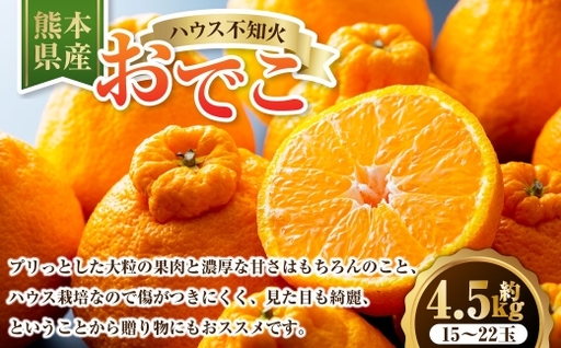 ハウス不知火おでこ 4.5kg 熊本県 果物 くだもの フルーツ 熊本県産 国産 柑橘系 柑橘類 不知火 おでこ ミカン みかん ハウス栽培 贈り物 プレゼント ギフト 贈答 [ 2026年12月上旬発送開始 ]