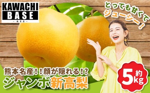 熊本名産!!顔が隠れる!?ジャンボ新高梨 5kg 国産 熊本県産 果物 くだもの フルーツ なし ナシ 梨 ジャンボ ジューシー [2026年9月上旬発送開始]