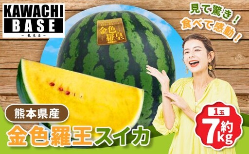 熊本県産 金色羅王スイカ 1玉 約7kg スイカ 西瓜 希少 黄金スイカ 国産 果物 くだもの フルーツ [2026年6月上旬発送開始]