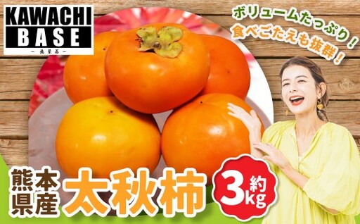 熊本県産 太秋柿 3kg 柿 かき カキ 贅沢 国産 果物 くだもの フルーツ [2026年10月下旬発送開始]
