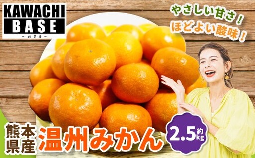 熊本県産 温州みかん 2.5kg みかん ミカン 柑橘類 柑橘系 甘さ 酸味 柑橘 国産 果物 くだもの フルーツ [2026年11月上旬発送開始]