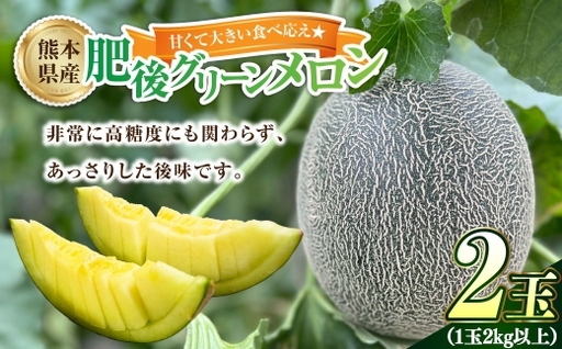 甘くて大きい食べ応え 肥後グリーンメロン メロン グリーンメロン 果物 くだもの フルーツ 果実 国産 熊本県産 [2026年6月上旬発送開始]