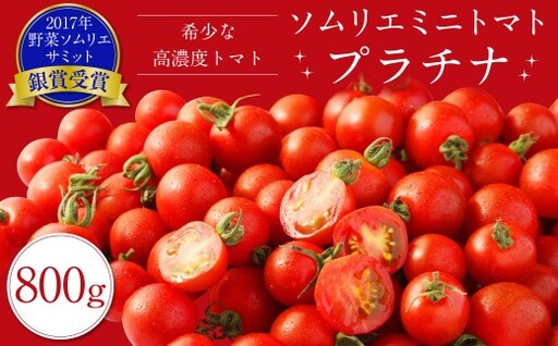 ソムリエミニトマトプラチナ800g とまと 野菜 国産 九州 熊本県産 冷蔵 [2026年2月上旬発送開始]