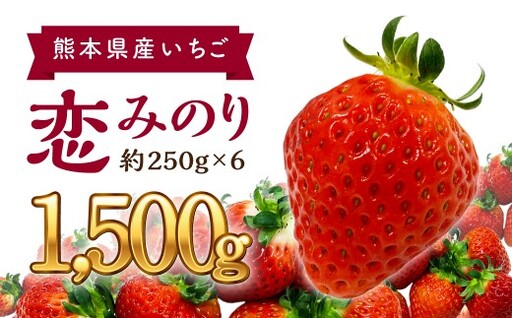 熊本県産 恋みのりいちご 約250g×6パック イチゴ 1.5kg【2027年1月下旬発送開始】