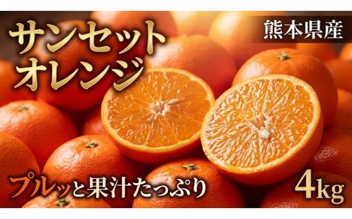 熊本県産　EC12　イーシージュウニ　サンセットオレンジ （約4キロ） おれんじ 柑橘 果物 フルーツ 4kg【2027年1月下旬発送開始】