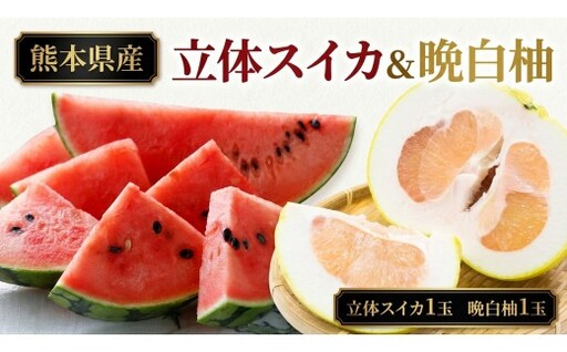 立体スイカ1玉 & 晩白柚1玉 セット くだもの 果物 フルーツ 甘み 国産 熊本県産 果実 果汁 果肉 スイカ すいか 晩白柚 柑橘 大玉 [ 2026年12月上旬発送開始 ]