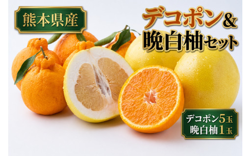デコポン5玉 & 晩白柚1玉 セット くだもの 果物 フルーツ 甘み 国産 熊本県産 果実 果汁 果肉 デコポン 晩白柚 柑橘 大玉 [ 2026年12月上旬発送開始 ]
