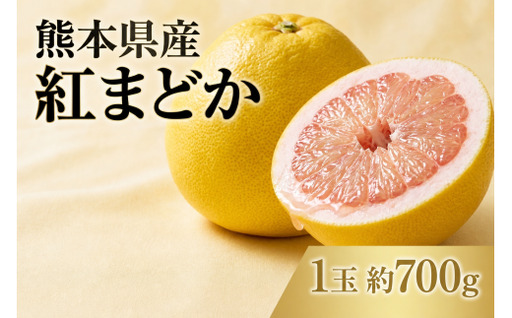 熊本県産 紅まどか 1玉 ( 約700g前後 ) 果物 くだもの フルーツ 柑橘系 柑橘類 みかん ミカン 果汁 国産 果肉 文旦 希少 [ 2027年3月上旬発送開始 ]