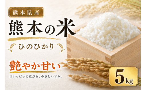 [ 令和7年産 ] 米 ひのひかり ( 5kg ) お米 米 こめ コメ 白米 白飯 飯 ご飯 ブランド米 ブランド 国産 熊本県産 甘み 旨み 食感 食卓