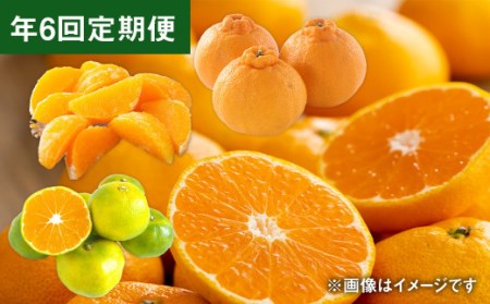 [年6回定期便]くまもとの柑橘定期便 不知火 デコポン 温室みかん 一番出荷早生みかん 完熟温州みかん