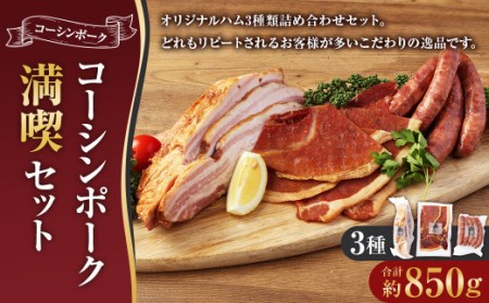 コーシンポーク 満喫セット 約850g ハム ソーセージ ベーコン スモーク 燻製 ジャーキー おつまみ セット