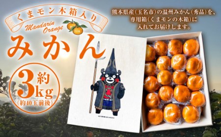 [2024年11月発送開始]くまモン木箱入り みかん 約3kg 柑橘 果物 蜜柑