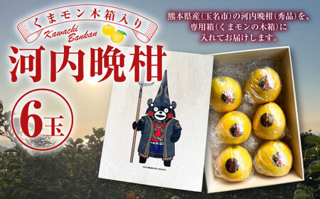 [2024年4月上旬発送開始]くまモン 木箱入り 河内晩柑 6玉 柑橘 果物 ばんかん