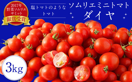 [2023年12月上旬発送開始][ 塩トマト のような フルーツトマト ]ソムリエ ミニトマト ダイヤ 3kg とまと トマト