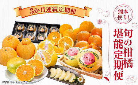 [2025年1月〜4月より3か月連続発送]熊本便り! 旬の柑橘堪能定期便