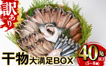 訳あり 干物大満足BOX(40尾以上・5〜8種) 干物 丸干し 開き 魚 冷凍 訳あり 小分け 簡易包装 詰め合わせ セット みりん干し あじ さば かます [opaa001][やまろ渡邉]