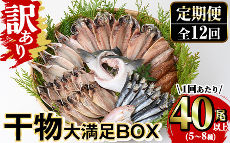 [定期便・全12回 (毎月)]訳あり 干物大満足BOX(40尾以上・5〜8種) 干物 丸干し 開き 魚 冷凍 訳あり 小分け 簡易包装 詰め合わせ セット 定期便 みりん干し あじ さば かます [opaa004][やまろ渡邉]