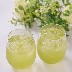 マリンレモン 緑茶 (6袋・1袋：2g×6個) お茶 ティーバック レモン ティー 防災 常温 【opbz015】【さいき本舗 城下堂】