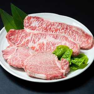 yӂ邳Ɣ[Łza [X q Xe[L Zbg (v700gE[X200g×2Eq150g×2)Xe[L Y 4 Ⓚ a  lߍ킹 啪 yopae012zy~[gNXgz