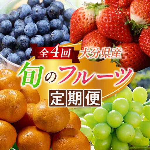 [定期便] 大分県産 旬のフルーツ定期便 (全4回・総量9kg) ブルーベリー シャインマスカット 温州みかん いちご 果物 定期 大分県産 国産 柑橘 みかん ぶどう [北海道・沖縄・離島配送不可] [opng014][全国農業協同組合連合会 大分県本部]